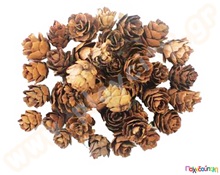 Αποξηραμένα κουκουνάρια 20 γρ  Διακοσμητικά Ξύλινα