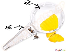 Μεγεθυντικός Φακός  Γνωριμία με τη Φυσική