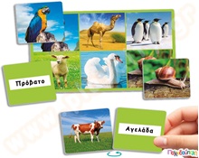 Εκπαιδευτικό παιχνίδι Λόττο 72 ζώα  Εκπαιδευτικά Παιχνίδια Γνώσεων