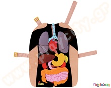 Εκπαιδευτική ποδιά Μαθαίνω το σώμα μου  Ανατομία