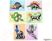 Σκελετοί απο ζωάκια σετ 6 τμχ.  Εκπαιδευτικά Παιχνίδια με Σχήματα - Μεγέθη - Χρώματα