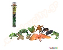 Κύκλος ζωής  Ζωάκια Πλαστικά