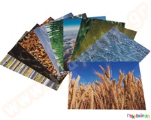 Χαρτόνια Α4 με τύπωμα η φύση γύρω μας σετ 40 τεμάχια  Χαρτόνια Τυπωμένα