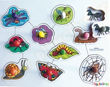 Ξύλινα ενσφηνώματα έντομα 10 τεμάχια  Ξύλινα Εκπαιδευτικά Παζλς