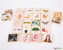 Ξύλινα Τουβλάκια Κύκλος της ζωής 24 τεμάχια  Εκπαιδευτικά Παιχνίδια Γνώσεων