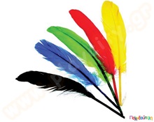 Φτερά Ινδιάνου διάφορα χρώματα 20 τμχ.  Διακοσμητικά Φτερά