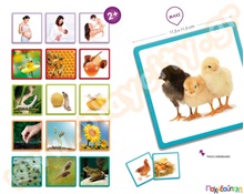 Maxi αλληλουχίες φύση  Εκπαιδευτικά Παιχνίδια Λογικής