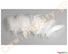 Φτερά άσπρα 15 cm  Διακοσμητικά Φτερά