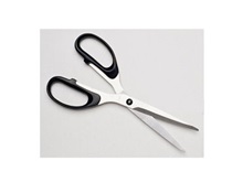 Ψαλίδι νηπιαγωγού  Ψαλίδια