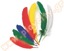 Φτερά (15) cm Σετ 120 τεμάχια  Διακοσμητικά Φτερά