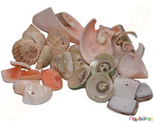 Χάντρες σαλιγκάρια και κοχύλια Σετ 10 διαφ.είδη 50 γρ./είδος  Διακοσμητικές Χάντρες - Κουμπιά