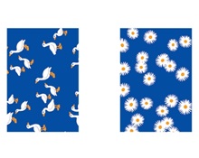 Χαρτόνι Χήνες και Μαργαρίτες 23x33 cm 200 gr.  Χαρτόνια Σετ assorted