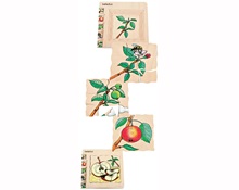 Ξύλινο Παζλ 5 Επιπέδων Το μήλο  Ξύλινα Εκπαιδευτικά Παζλς Επιπέδων