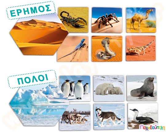 Εκπαιδευτικό Παιχνίδι Πού ζούνε τα ζώα;