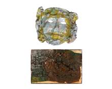 Κόλλα ρευστή Film Glue διάφανη 1000 ml  Κόλλες - Συγκολλητικά