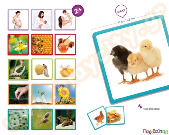 Maxi αλληλουχίες φύση