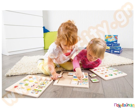 Παζλ ταξινόμησης, στο περιβάλλον