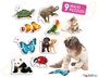 Baby Puzzles - Ζώα