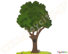 Σετ Δέντρο και σπηλιά  Θέατρο Σκιών - Καραγκιόζης