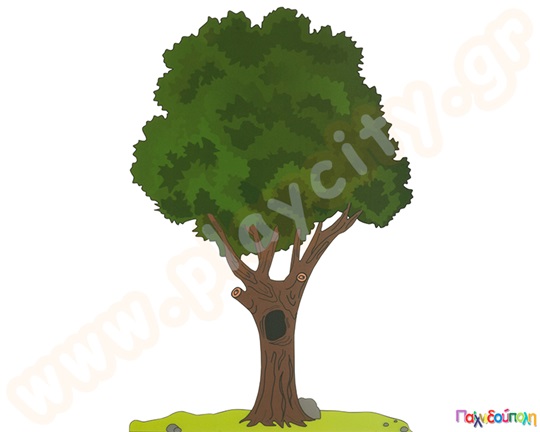 Σετ Δέντρο και σπηλιά