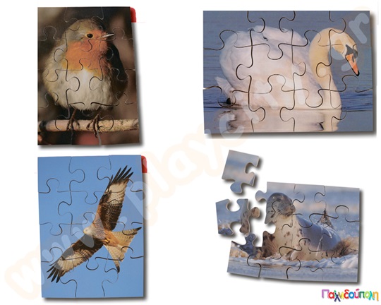 Σετ 8 ξύλινα παζλ άγρια ζωή