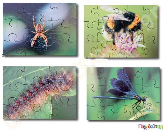Σετ 8 ξύλινα παζλ έντομα