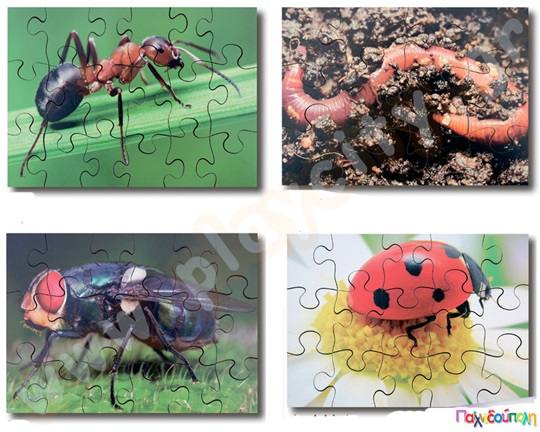 Σετ 8 ξύλινα παζλ έντομα