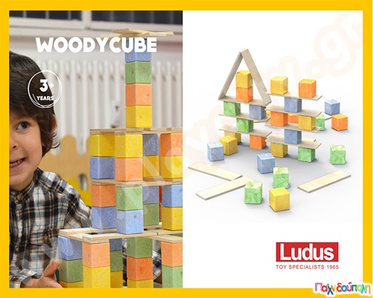 Κατασκευές Woody Cube