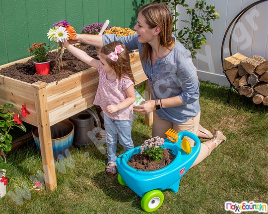 Καρότσι παιχνιδιού Step2