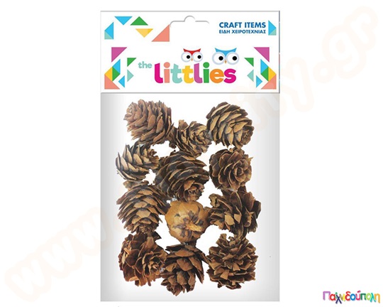 Αποξηραμένα κουκουνάρια 12 τμχ.