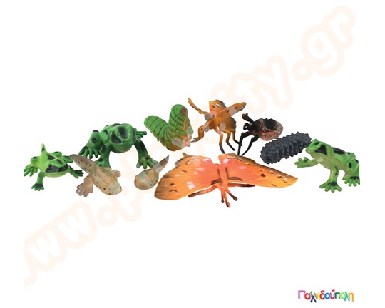 Κύκλος ζωής