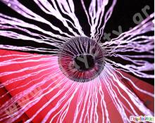 Κουρτίνα δακτύλιος με φωτιζόμενα νήματα LED  Αισθητηριακή Ολοκλήρωση