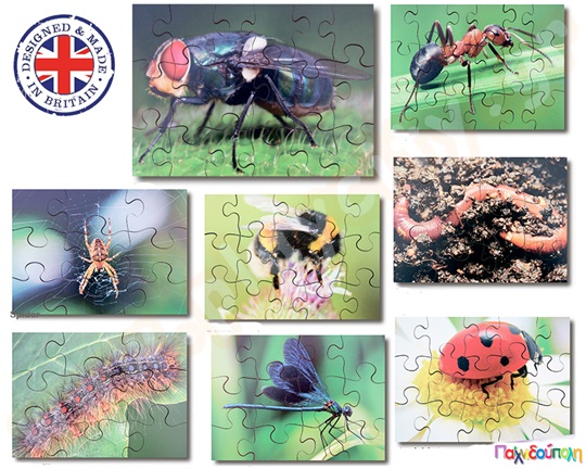 Σετ 8 ξύλινα παζλ έντομα