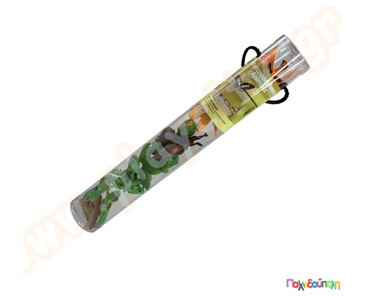 Κύκλος ζωής