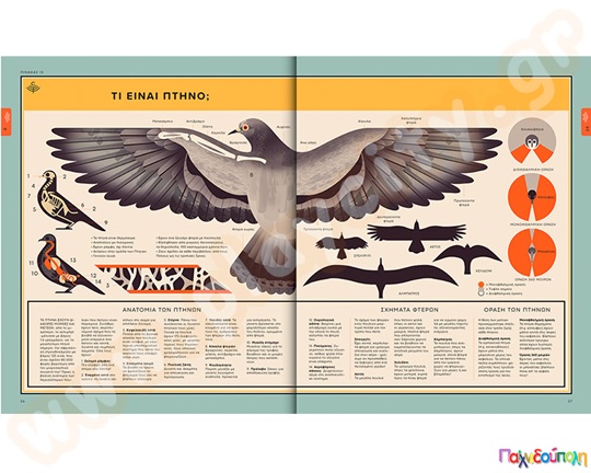 Φυσικός κόσμος