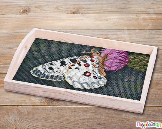 Σετ τέχνης πεταλούδα 10000 χάντρες 5 mm