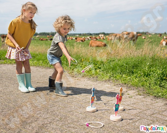 Παιχνίδι στόχου με κρίκους - Ring Toss Birds