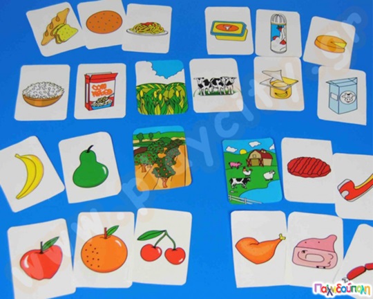 Τροφές και προέλευση τους ECO 24 τεμάχια