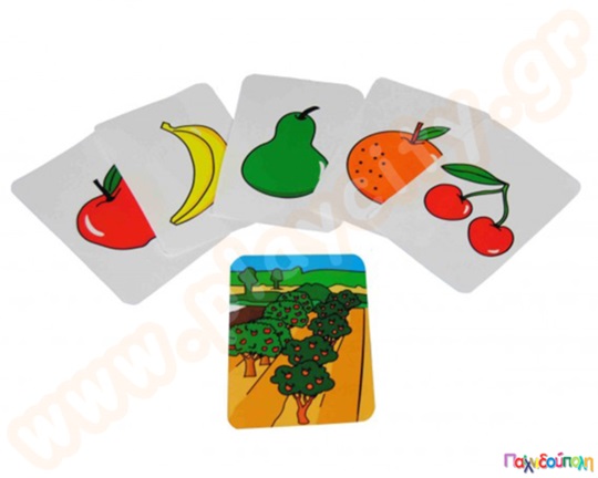 Τροφές και προέλευση τους ECO 24 τεμάχια