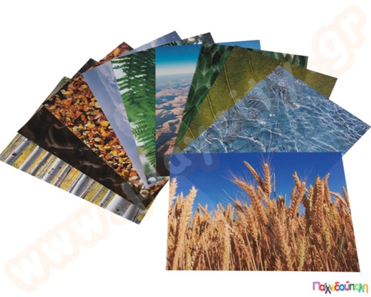 Χαρτόνια Α4 με τύπωμα η φύση γύρω μας σετ 40 τεμάχια