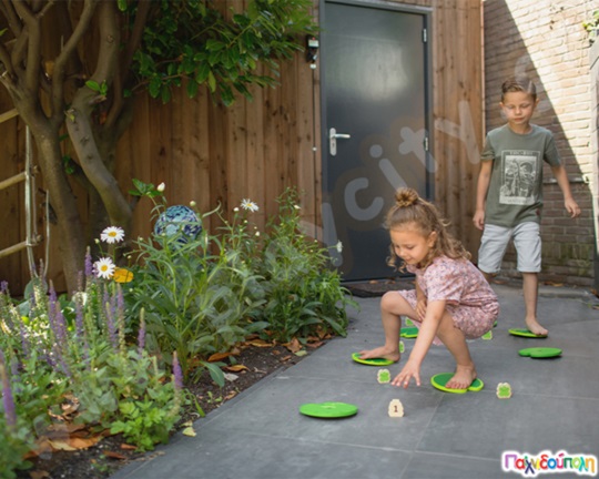 Πέταλα νούφαρου και βατραχάκια