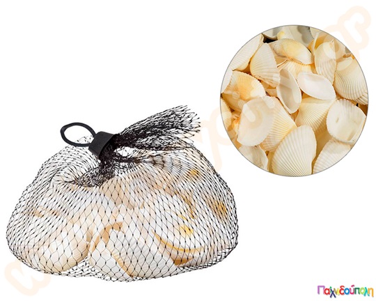 Διακοσμητικά κοχύλια λευκά 5 εκ.