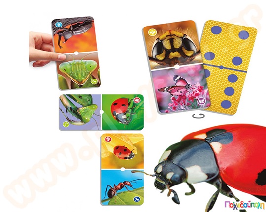 Ντόμινο με έντομα