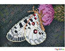 Σετ τέχνης πεταλούδα 10000 χάντρες 5 mm  Πλαστικά Παιχνίδια Κατασκευών με Χάντρες Midi HAMA