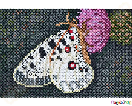 Σετ τέχνης πεταλούδα 10000 χάντρες 5 mm