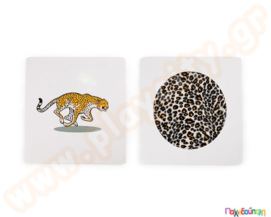 Σετ κάρτες αφής διπλής όψης ζώα 6τμχ