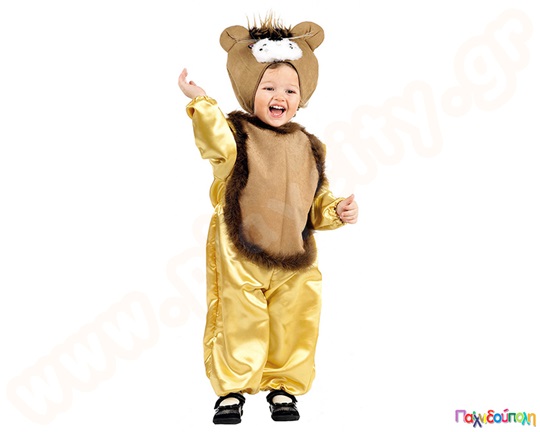 Στολή λιονταράκι