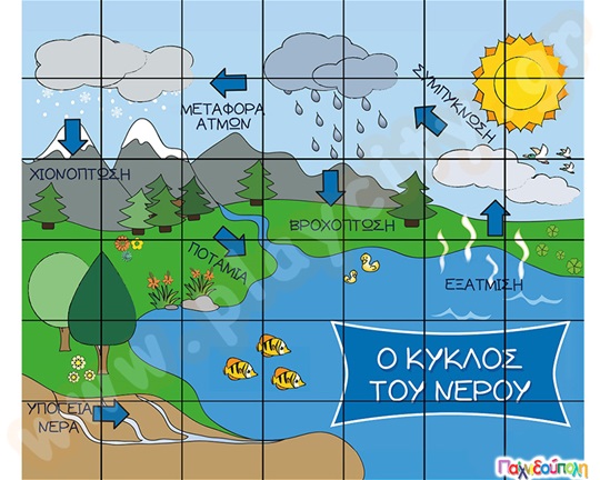 Χαλάκι BeeBot - Ο Κύκλος του Νερού