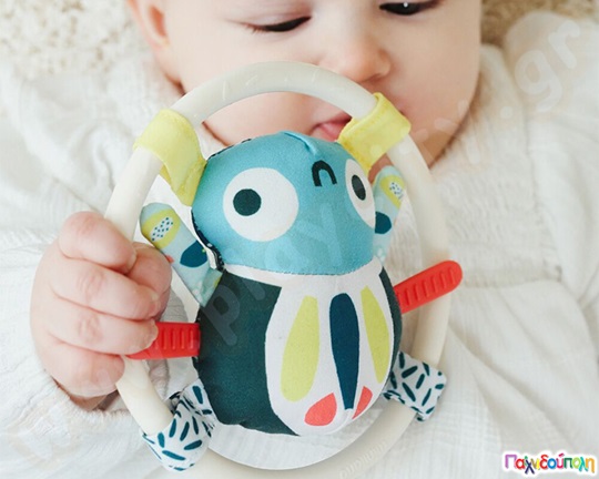 Κουδουνίστρα Αράχνη