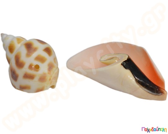 Χάντρες σαλιγκάρια και κοχύλια Σετ 10 διαφ.είδη 50 γρ./είδος